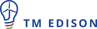 TM_Edison_logo-variant
