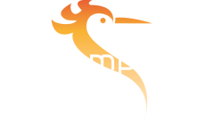logo-dekemphaan-transparant-wit-no-baseline@2x